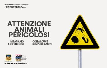 Campagna informativa per la prevenzione delle arbovirosi Campagna informativa per la prevenzione delle arbovirosi